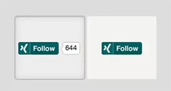 Image: Follow on Xing-Button