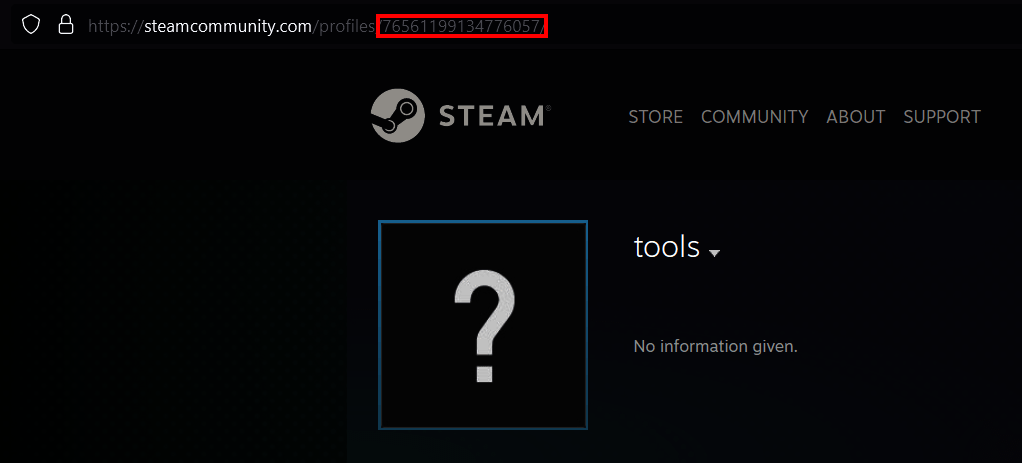How to find your Steam ID - IONOS UK