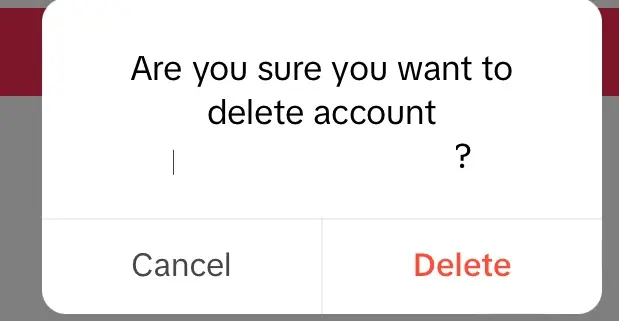 Image: TikTok: Final confirmation of account deletion
