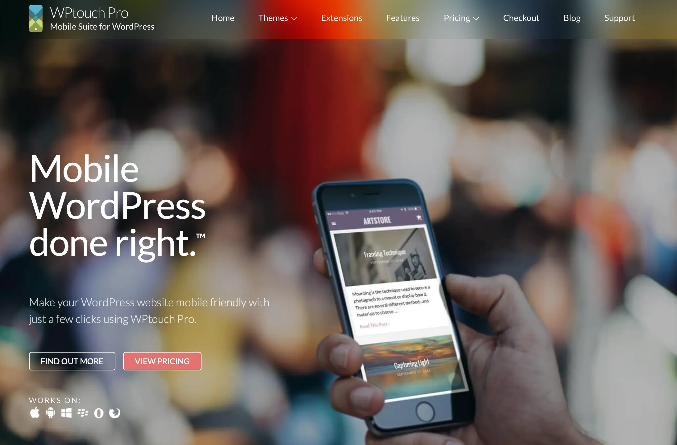 Image: Screenshot of the WPtouch Pro website