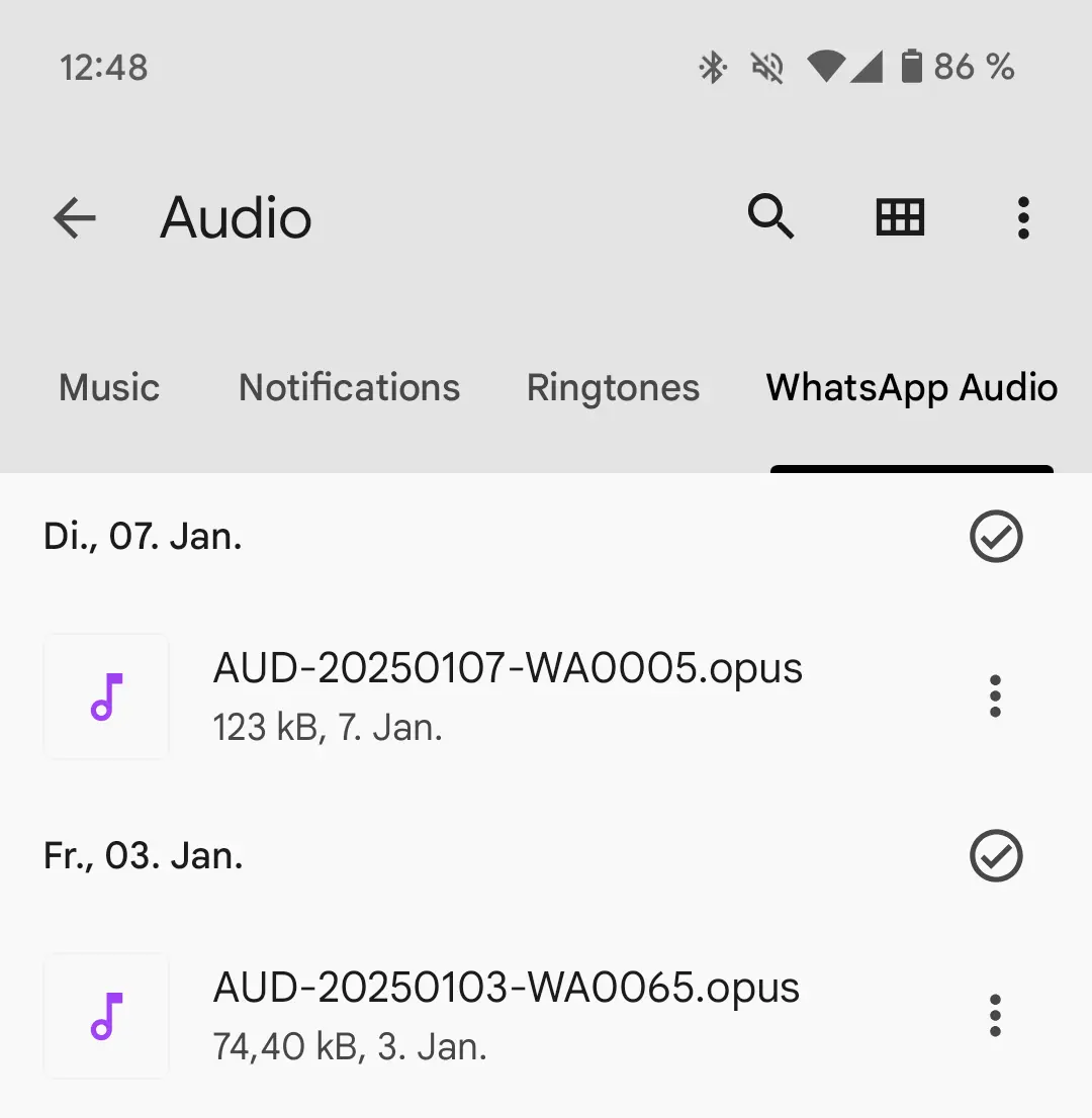 Android screenshot of the ‘WhatsApp Audio’ subfolder Image: Android screenshot of the ‘WhatsApp Audio’ subfolder