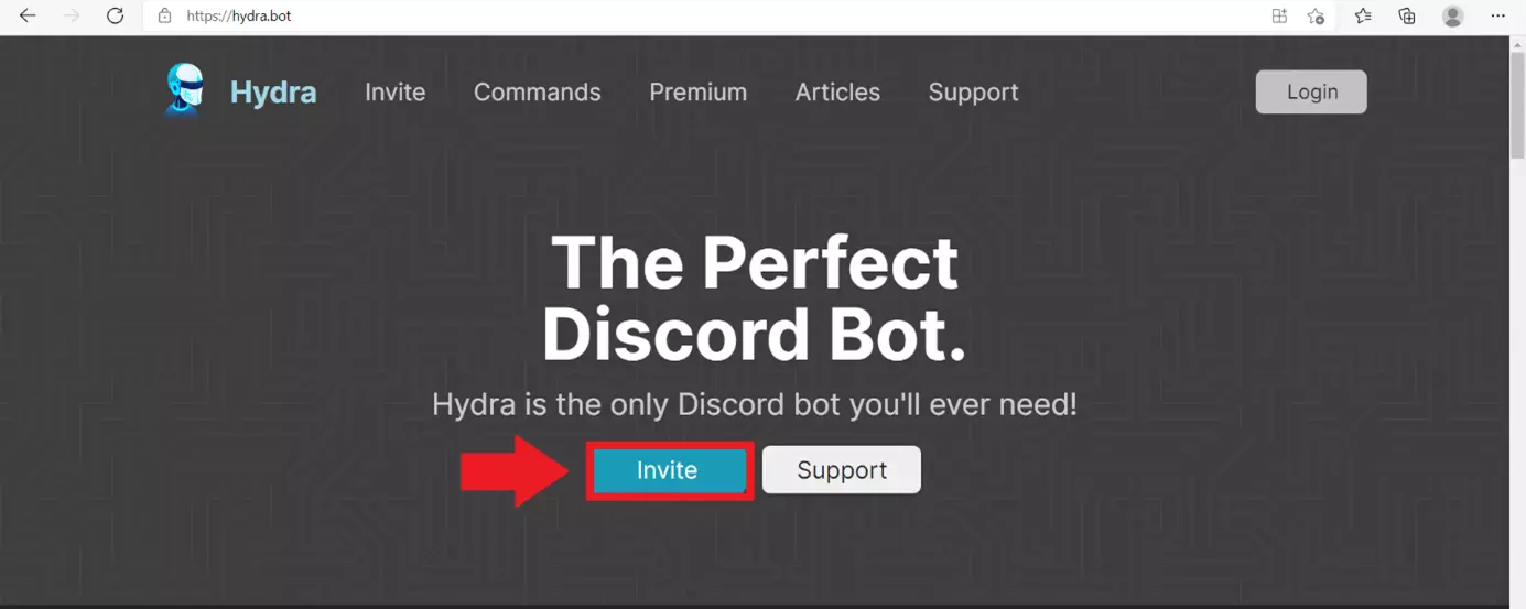 Click on ‘Invite’ to add the music bot to your server