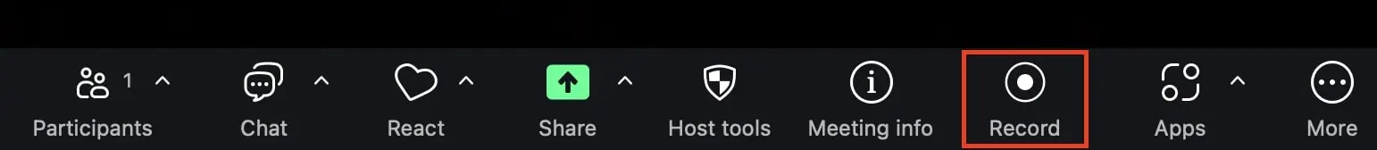 Record button in the menu bar Image: Record button in the menu bar