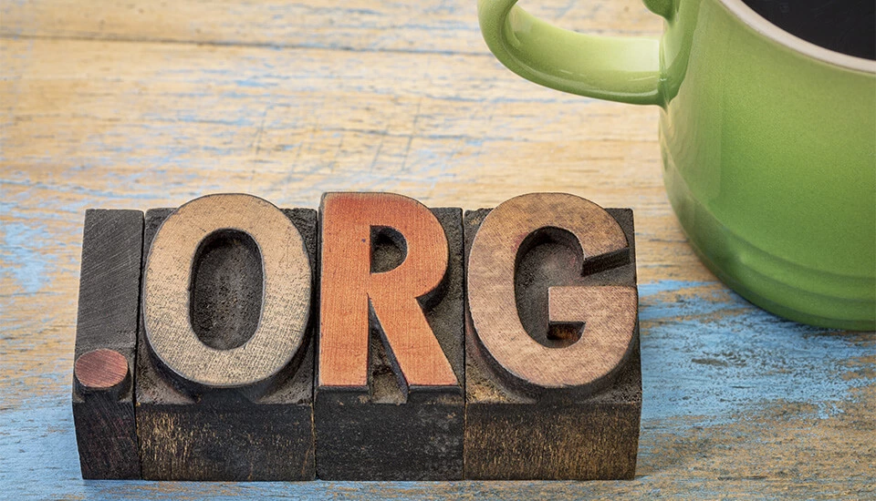 What does .org mean? The domain extension at a glance Image: What does .org mean? The domain extension at a glance