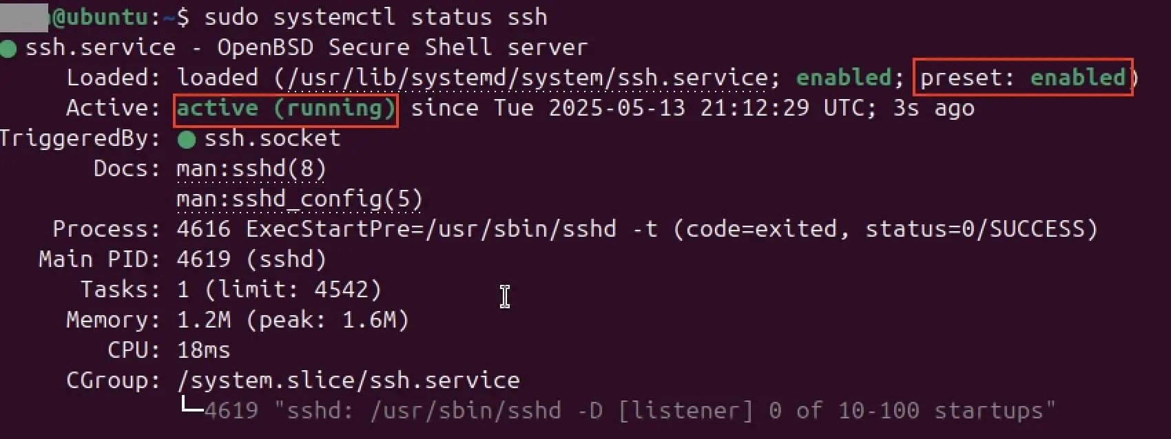 Image: Screenshot of the status of SSH in the terminal