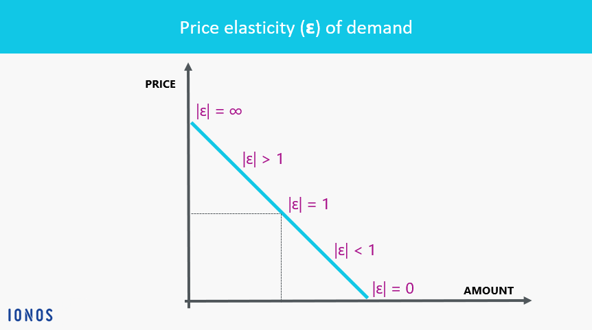 why is price elasticity important